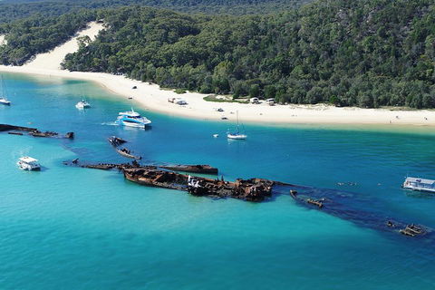 All Inclusive Dolphin And Tangalooma Wrecks Cruise - Foster Accommodation 4