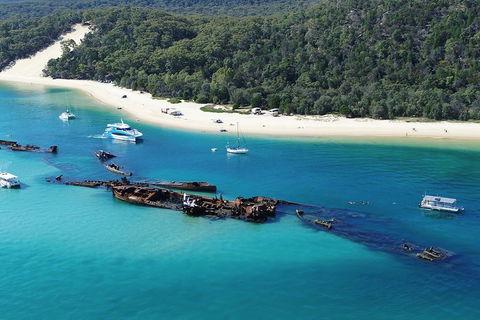 All Inclusive Tangalooma Wrecks Cruise Tour From Gold Coast - Foster Accommodation 0