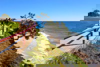 Byron Bay Bangalow and Gold Coast Day Tour from Brisbane