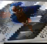 3/4 Day 7 Hour Offshore Fishing Charter - Foster Accommodation