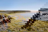 Kangaroo Island Personal Group Tours, Adelaide