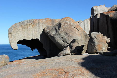 Kangaroo Island Personal Group Tours - Foster Accommodation 2