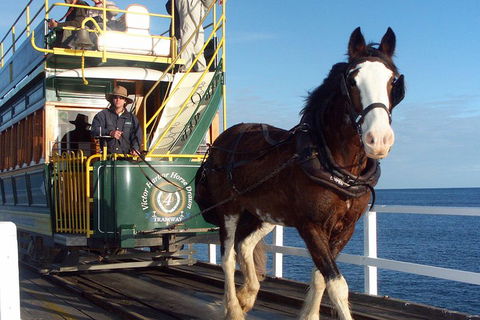Full-Day Tour In South Australia Highlights - Foster Accommodation 1