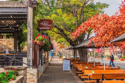 Full-Day Tour In South Australia Highlights - Foster Accommodation 2