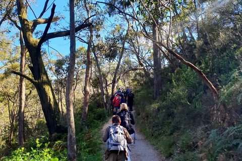 Self-Guided Waterfall Gully To Mount Lofty Hike From Adelaide - Foster Accommodation 1