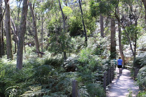 Self-Guided Waterfall Gully To Mount Lofty Hike From Adelaide - Foster Accommodation 2