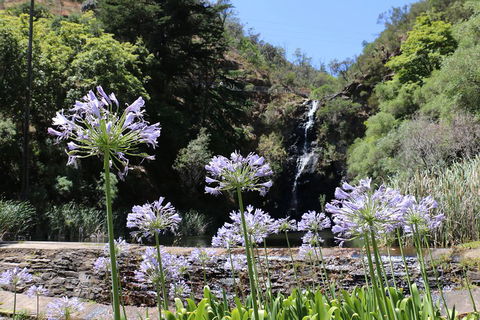 Self-Guided Waterfall Gully To Mount Lofty Hike From Adelaide - Foster Accommodation 3