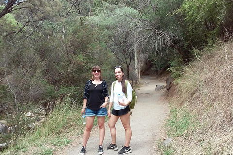 Self-Guided Waterfall Gully To Mount Lofty Hike From Adelaide - Foster Accommodation 4