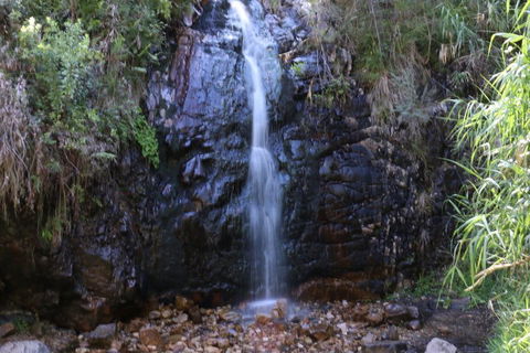 Self-Guided Waterfall Gully To Mount Lofty Hike From Adelaide - Foster Accommodation 5