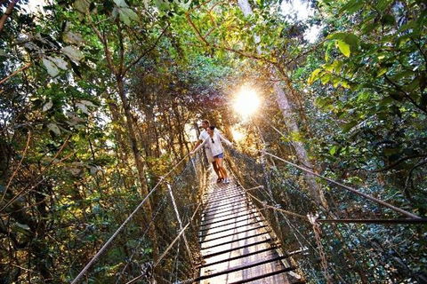 O'Reilly's & Lamington National Park From Brisbane - Foster Accommodation 5