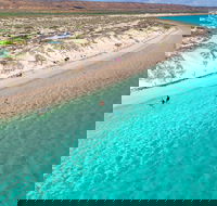 Ningaloo in a Day - Full Day Hike and Snorkel Tour with Lunch - Foster Accommodation