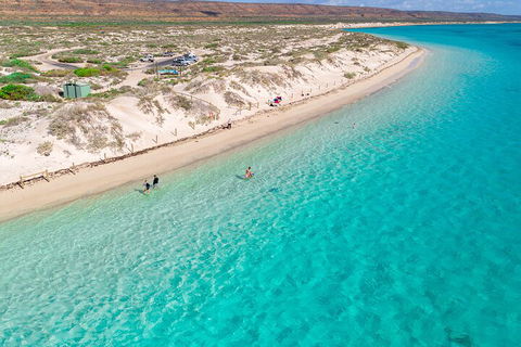 Ningaloo In A Day - Full Day Hike And Snorkel Tour With Lunch - Foster Accommodation 0