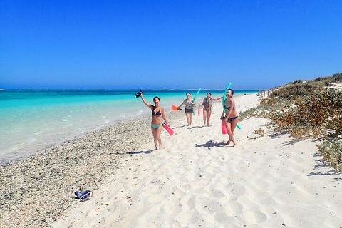 Ningaloo In A Day - Full Day Hike And Snorkel Tour With Lunch - Foster Accommodation 1