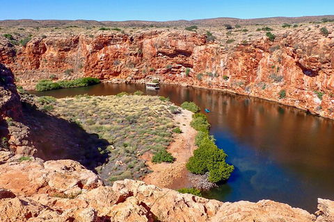 Ningaloo In A Day - Full Day Hike And Snorkel Tour With Lunch - Foster Accommodation 2