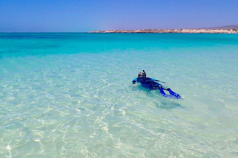 Ningaloo In A Day - Full Day Hike And Snorkel Tour With Lunch - Foster Accommodation 4