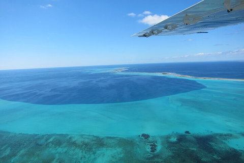 Shipwreck Special Full Day Tour Of The Abrolhos Islands - Foster Accommodation 2