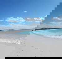 Shipwreck Special Nature Tour/Half Day Tour - Foster Accommodation