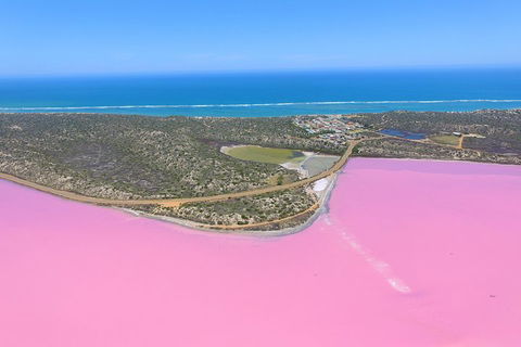 Pink Lake + Abrolhos Islands Nature Tour - Foster Accommodation 4
