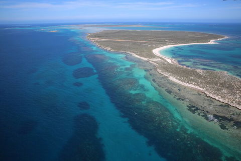 Pink Lake + Abrolhos Islands Scenic Flight - Foster Accommodation 0