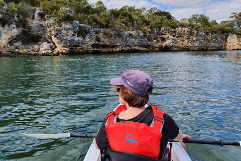 Cliffs And Caves Kayak Tour In Swan River - Foster Accommodation 0