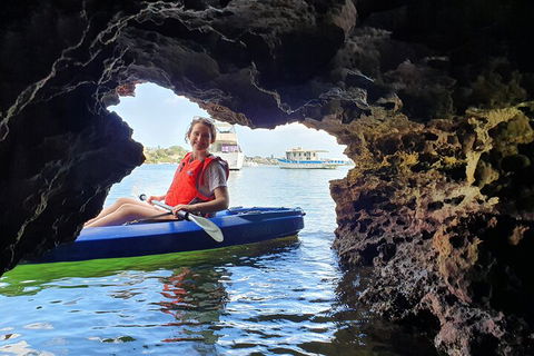 Cliffs And Caves Kayak Tour In Swan River - Foster Accommodation 1