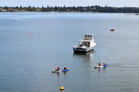 Cliffs And Caves Kayak Tour In Swan River - Foster Accommodation 2