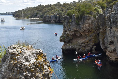 Cliffs And Caves Kayak Tour In Swan River - Foster Accommodation 5