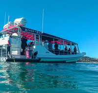 Best of Moreton Bay Cruise - Foster Accommodation