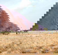 Uluru Sunrise and Guided Base Walk - Foster Accommodation