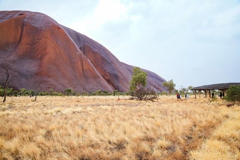 Uluru Sunrise And Guided Base Walk - Foster Accommodation 0