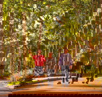 Darwin City Sights and Jumping Crocodile Cruise - Foster Accommodation