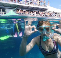 Great Barrier Reef Day Cruise from Cairns Including Snorkeling and Marine Biologist Presentation - Foster Accommodation