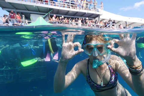 Great Barrier Reef Day Cruise From Cairns Including Snorkeling And Marine Biologist Presentation - Foster Accommodation 0