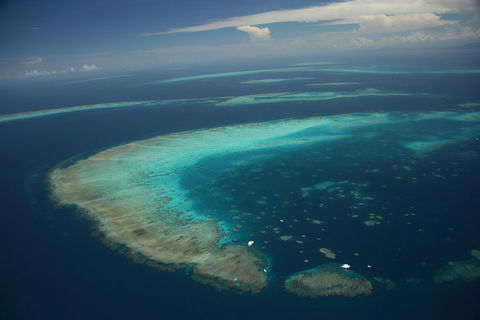 Great Barrier Reef Day Cruise From Cairns Including Snorkeling And Marine Biologist Presentation - Foster Accommodation 1