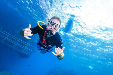Great Barrier Reef Day Cruise From Cairns Including Snorkeling And Marine Biologist Presentation - Foster Accommodation 3