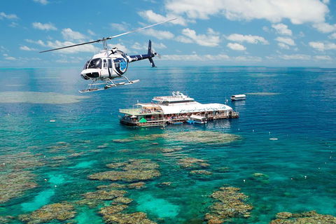 Great Barrier Reef Day Cruise From Cairns Including Snorkeling And Marine Biologist Presentation - Foster Accommodation 5