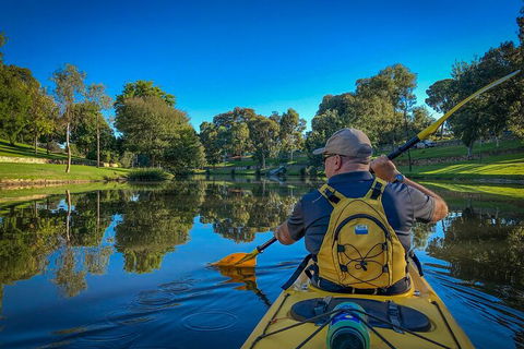 Adelaide City Kayak Tour - Foster Accommodation 5