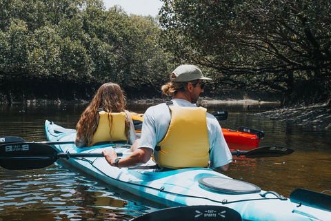 Kayak Tour In Adelaide Dolphin Sanctuary - Foster Accommodation 2