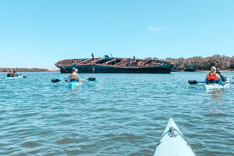 Kayak Tour In Adelaide Dolphin Sanctuary - Foster Accommodation 3