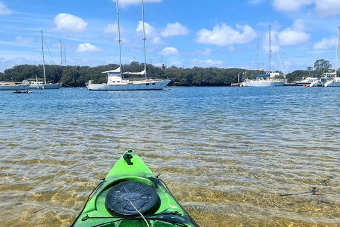 Kayak Tour In Adelaide Dolphin Sanctuary - Foster Accommodation 4