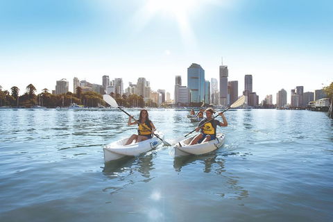 Brisbane Kayak Tour - Foster Accommodation 0