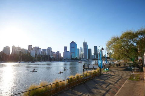Brisbane Kayak Tour - Foster Accommodation 1