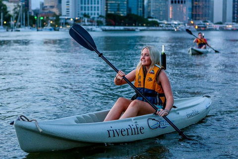 Brisbane Kayak Tour - Foster Accommodation 2