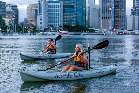 Brisbane Kayak Tour - Foster Accommodation 3