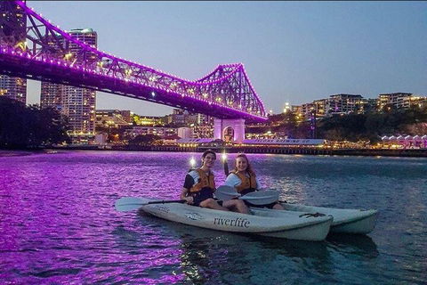 Brisbane Kayak Tour - Foster Accommodation 4