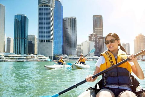 Brisbane Kayak Tour - Foster Accommodation 5