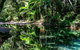 Daintree And Cape Tribulation Full Day Guided Tour - thumb 1