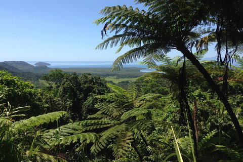 Daintree And Cape Tribulation Full Day Guided Tour - Foster Accommodation 2