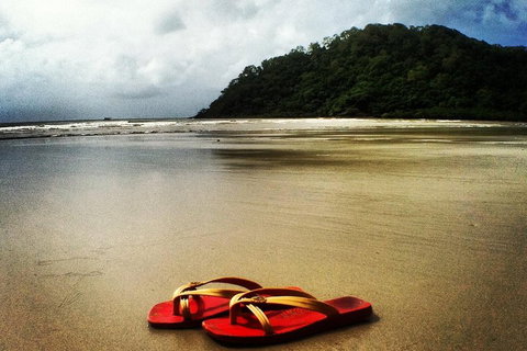 Daintree And Cape Tribulation Full Day Guided Tour - Foster Accommodation 4