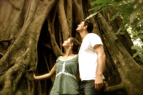 Daintree And Cape Tribulation Full Day Guided Tour - Foster Accommodation 5